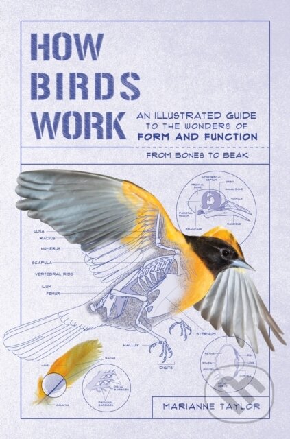 Kniha: How Birds Work – An Illustrated Guide to the Wonders of Form and Function – from Bones to Beak (Marianne Taylor). Experiment, 2020 Kniha: How Birds Work – An Illustrated Guide to the Wonders of Form and Function – from Bones to Beak (Marianne Taylor). Experiment, 2020