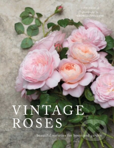 Kniha: Vintage Roses (Jane Eastoe). , 2017 Kniha: Vintage Roses (Jane Eastoe). , 2017