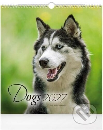 Kniha: Dogs 2027 - nástěnný kalendář (MFP). MFP, 2026 Kniha: Dogs 2027 - nástěnný kalendář (MFP). MFP, 2026