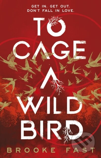 Kniha: To Cage a Wild Bird (Brooke Fast). Transworld, 2026 Kniha: To Cage a Wild Bird (Brooke Fast). Transworld, 2026