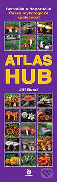 Atlas hub - Jiří Burel, Columbus, 2007
