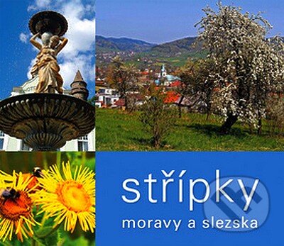 Střípky Moravy a Slezska, Repronis, 2007