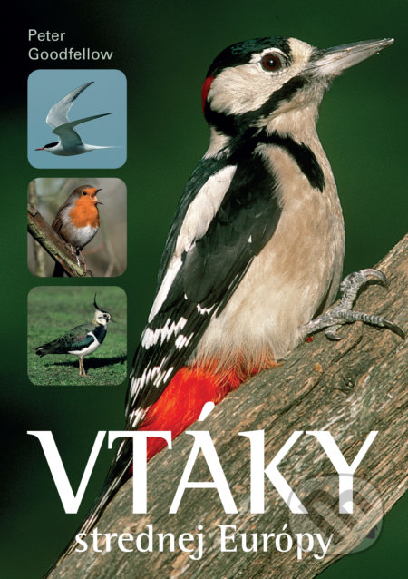 Kniha: Vtáky strednej Európy (Peter Goodfellow). Slovart, 2018 Kniha: Vtáky strednej Európy (Peter Goodfellow). Slovart, 2018