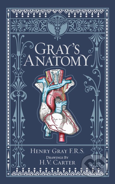 Kniha: Gray's Anatomy (Henry Gray). Barnes and Noble, 2019 Kniha: Gray's Anatomy (Henry Gray). Barnes and Noble, 2019