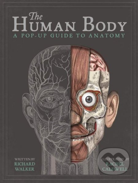 Kniha: The Human Body (Richard Walker). Templar, 2018 Kniha: The Human Body (Richard Walker). Templar, 2018