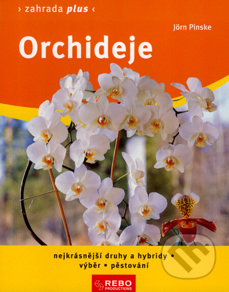 Kniha: Orchideje (Jörn Pinske). Rebo, 2008 Kniha: Orchideje (Jörn Pinske). Rebo, 2008