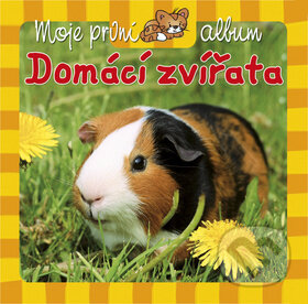Kniha: Moje první album Domácí zvířata (Aksjomat). Aksjomat, 2013 Kniha: Moje první album Domácí zvířata (Aksjomat). Aksjomat, 2013