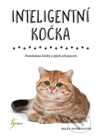 Kniha: Inteligentní kočka (Sally Morgan). Esence, 2019 Kniha: Inteligentní kočka (Sally Morgan). Esence, 2019