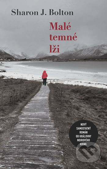 Kniha: Malé temné lži (Sharon J. Bolton). Domino, 2019 Kniha: Malé temné lži (Sharon J. Bolton). Domino, 2019