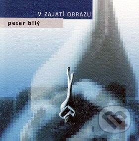 V zajatí obrazu, Vydavateľstvo Spolku slovenských spisovateľov, 2004