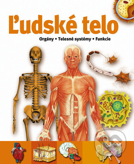 Kniha: Ľudské telo (Ikar). Ikar, 2006 Kniha: Ľudské telo (Ikar). Ikar, 2006