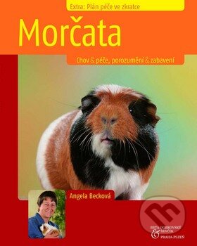 Kniha: Morčata (Angela Beck). BETA - Dobrovský, 2008 Kniha: Morčata (Angela Beck). BETA - Dobrovský, 2008