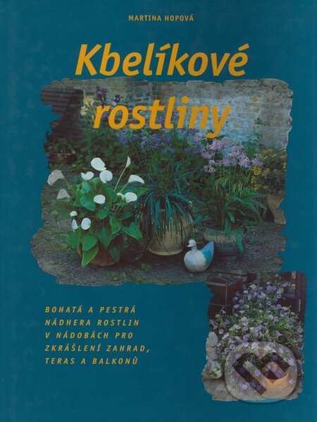 Kniha: Kbelíkové rostliny (Martina Hopová). Rebo, 1999 Kniha: Kbelíkové rostliny (Martina Hopová). Rebo, 1999