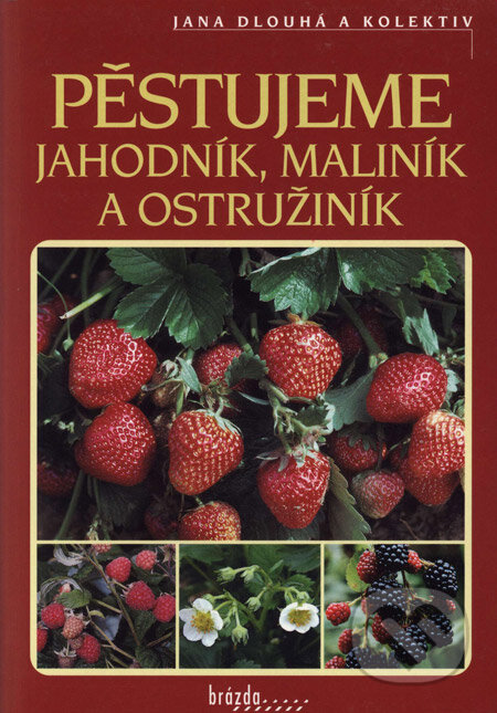 Kniha: Pěstujeme jahodník, maliník a ostružník (Jana Dlouhá a kolektív). Brázda, 2003 Kniha: Pěstujeme jahodník, maliník a ostružník (Jana Dlouhá a kolektív). Brázda, 2003