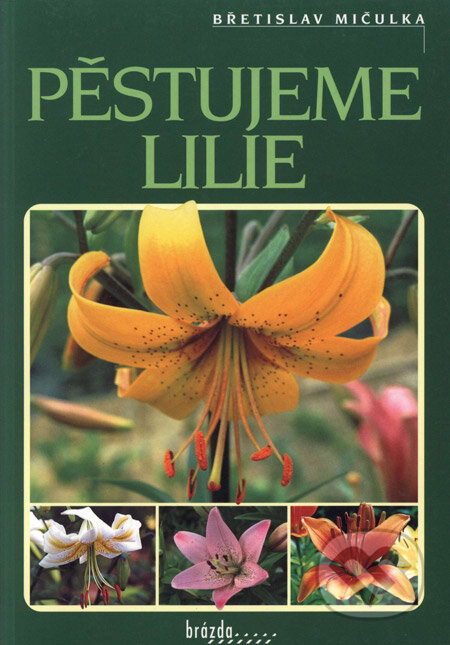 Kniha: Pěstujeme lilie (Břetislav Mičulka). Brázda, 2001 Kniha: Pěstujeme lilie (Břetislav Mičulka). Brázda, 2001