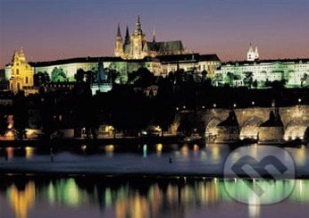 Pražský hrad v noci, Dino