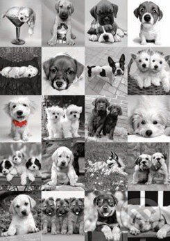 Puzzle: Psi (Dino). Dino Puzzle: Psi (Dino). Dino