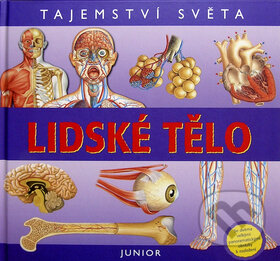 Kniha: Lidské tělo (Nakladatelství Junior). Nakladatelství Junior, 2008 Kniha: Lidské tělo (Nakladatelství Junior). Nakladatelství Junior, 2008