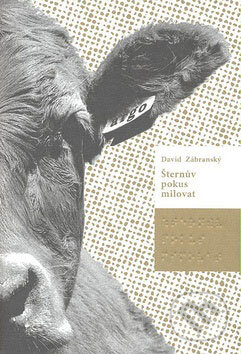 Kniha: Šternův pokus milovat (David Zábranský). Argo, 2008 Kniha: Šternův pokus milovat (David Zábranský). Argo, 2008