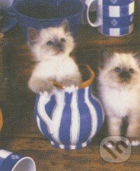 Puzzle: Kitty Cream (Leanne Giblett). Crown & Andrews Puzzle: Kitty Cream (Leanne Giblett). Crown & Andrews