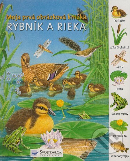 Kniha: Rybník a rieka (Gisela Fischer a kolektív). Svojtka&Co., 2008 Kniha: Rybník a rieka (Gisela Fischer a kolektív). Svojtka&Co., 2008