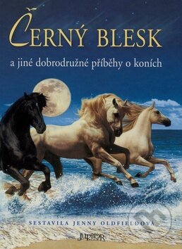 Černý blesk a jiné dobrodružné příběhy o koních - Jenny Oldfieldová, Fortuna Libri ČR, 2008