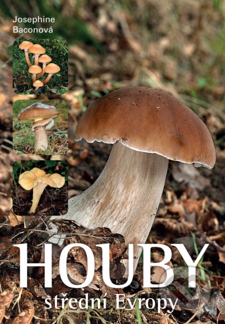 Kniha: Houby střední Evropy (Josephine Bacon). Slovart CZ, 2019 Kniha: Houby střední Evropy (Josephine Bacon). Slovart CZ, 2019