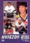 Kniha: Hviezdy NHL (Ivan Niňaj a Ľudovít Horný). Motýľ, 2001 Kniha: Hviezdy NHL (Ivan Niňaj a Ľudovít Horný). Motýľ, 2001