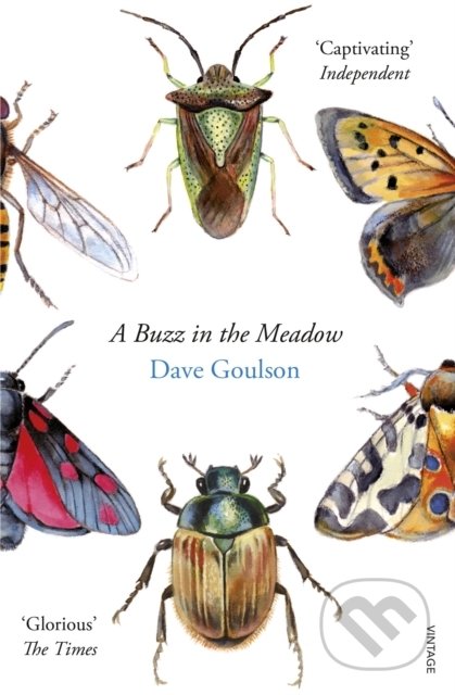 Kniha: A Buzz in the Meadow (Dave Goulson). Vintage, 2015 Kniha: A Buzz in the Meadow (Dave Goulson). Vintage, 2015