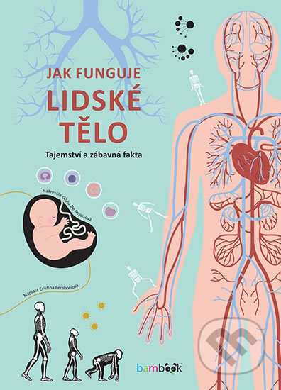 Kniha: Jak funguje lidské tělo (Cristina Peraboni). Bambook, 2019 Kniha: Jak funguje lidské tělo (Cristina Peraboni). Bambook, 2019
