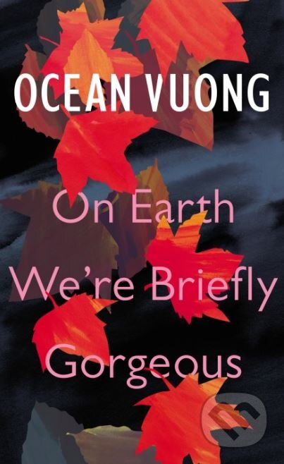 Kniha: On Earth We're Briefly Gorgeous (Ocean Vuong). Vintage, 2019 Kniha: On Earth We're Briefly Gorgeous (Ocean Vuong). Vintage, 2019