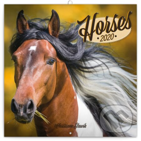 Poznámkový kalendář / kalendár Horses 2020 - Christiane Slawik, Národné lesnícke centrum, 2019