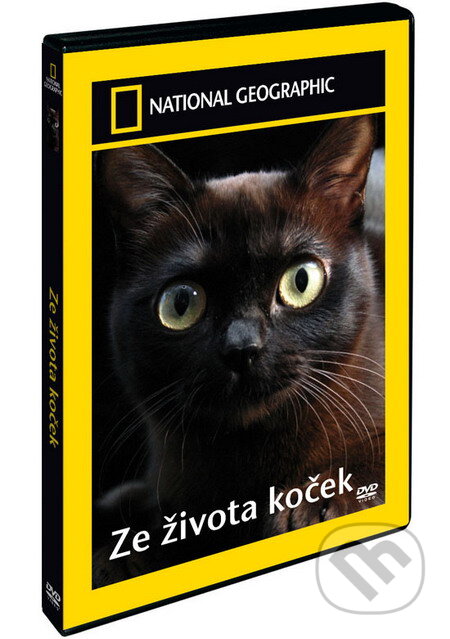 Film: Zo života mačiek (Magicbox) (DVD). Magicbox, 2008 Film: Zo života mačiek (Magicbox) (DVD). Magicbox, 2008
