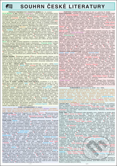 Kniha: Souhrn české literatury pro strední školy (Helena Brdičková). Holman, 2006 Kniha: Souhrn české literatury pro strední školy (Helena Brdičková). Holman, 2006
