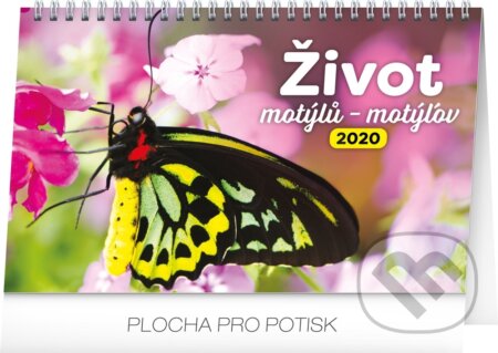 Stolní kalendář Život motýlů – Stolový kalendár Život motýľov 2020, Presco Group, 2019