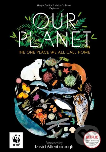 Our Planet - Matt Whyman, Richard Jones (ilustrácie), HarperCollins, 2019