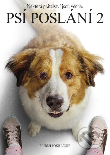 Film: Psí poslání 2 (Gail Mancuso) (DVD). Magicbox, 2019 Film: Psí poslání 2 (Gail Mancuso) (DVD). Magicbox, 2019