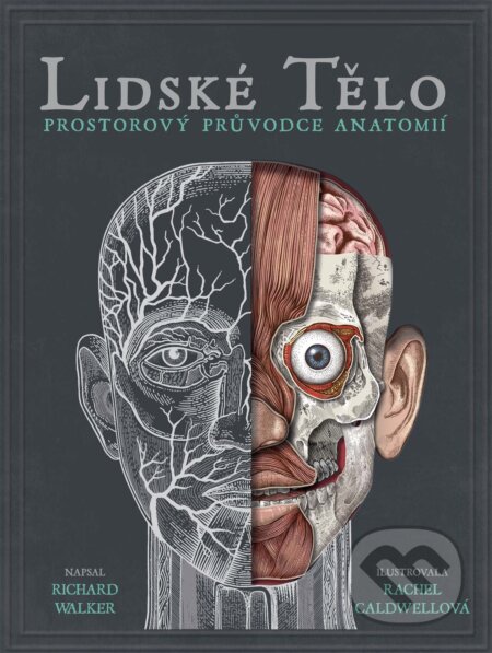 Kniha: Lidské tělo (Richard Walker). Albatros CZ, 2019 Kniha: Lidské tělo (Richard Walker). Albatros CZ, 2019