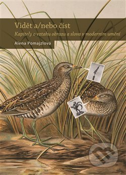 Kniha: Vidět nebo číst (Alena Pomajzlová). Nakladatelství Lidové noviny, 2021 Kniha: Vidět nebo číst (Alena Pomajzlová). Nakladatelství Lidové noviny, 2021