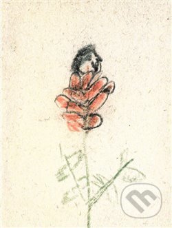 Kniha: Z růže kvítek vykvet nám (Martin Zet). Galerie města Plzně, 2015 Kniha: Z růže kvítek vykvet nám (Martin Zet). Galerie města Plzně, 2015