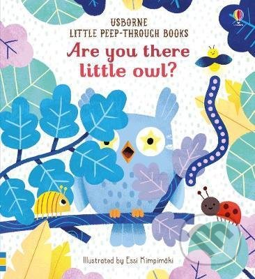 Kniha: Are you there little owl? (Sam Taplin). Usborne, 2019 Kniha: Are you there little owl? (Sam Taplin). Usborne, 2019