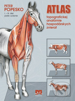 Kniha: Atlas topografickej anatómie hospodárskych zvierat I. - III. diel (Peter Popesko). Príroda, 2009 Kniha: Atlas topografickej anatómie hospodárskych zvierat I. - III. diel (Peter Popesko). Príroda, 2009