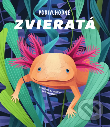 Kniha: Podivuhodné zvieratá (Cristina Banfi). Bambook, 2019 Kniha: Podivuhodné zvieratá (Cristina Banfi). Bambook, 2019
