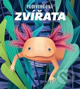 Kniha: Podivuhodná zvířata (Cristina M. Banfi). Bambook, 2019 Kniha: Podivuhodná zvířata (Cristina M. Banfi). Bambook, 2019