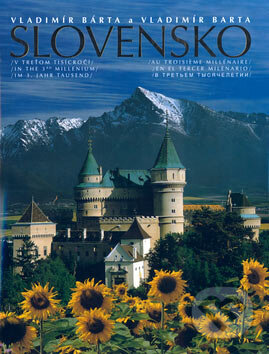 Kniha: Slovensko v treťom tisícročí (Viera Sokolová, Vladimír Bárta a Vladimír Barta). AB ART press, 2005 Kniha: Slovensko v treťom tisícročí (Viera Sokolová, Vladimír Bárta a Vladimír Barta). AB ART press, 2005