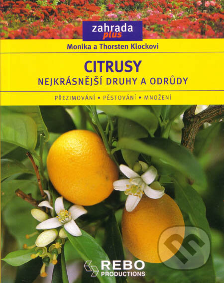 Kniha: Citrusy (Monika Klock a Thorsten Klock). Rebo, 2004 Kniha: Citrusy (Monika Klock a Thorsten Klock). Rebo, 2004