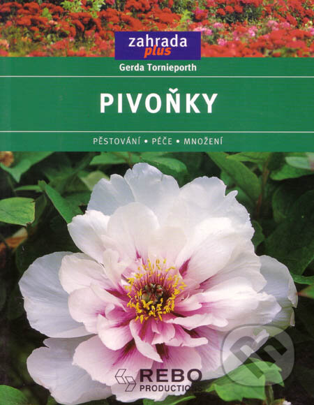 Kniha: Pivoňky (Gerda Tornieporth). Rebo, 2005 Kniha: Pivoňky (Gerda Tornieporth). Rebo, 2005
