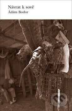 Kniha: Návrat k sově (Ádám Bodor). Dauphin, 2009 Kniha: Návrat k sově (Ádám Bodor). Dauphin, 2009
