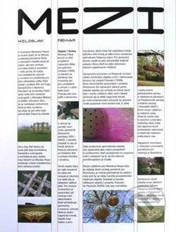 Kniha: Mezi (Miloslav Fekar a Rostislav Koryčánek). , 2015 Kniha: Mezi (Miloslav Fekar a Rostislav Koryčánek). , 2015