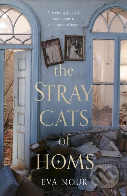 Kniha: The Stray Cats of Homs (Eva Nour). Doubleday, 2020 Kniha: The Stray Cats of Homs (Eva Nour). Doubleday, 2020